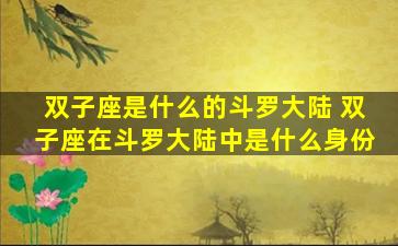 双子座是什么的斗罗大陆 双子座在斗罗大陆中是什么身份